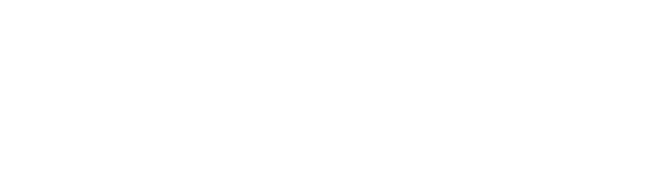 Skidwizard